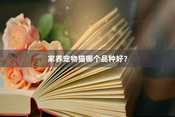 家养宠物猫哪个品种好？