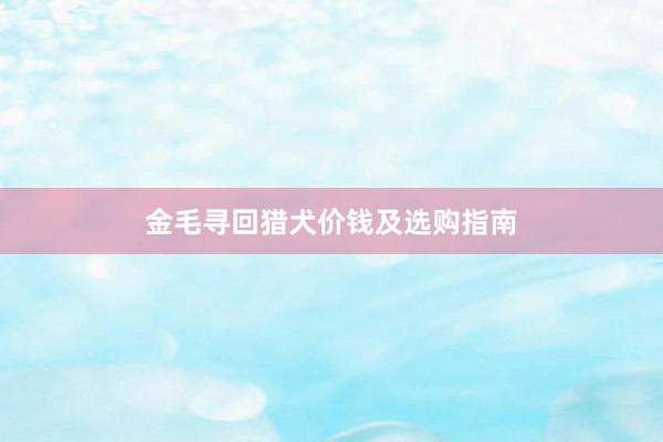 金毛寻回猎犬价钱及选购指南