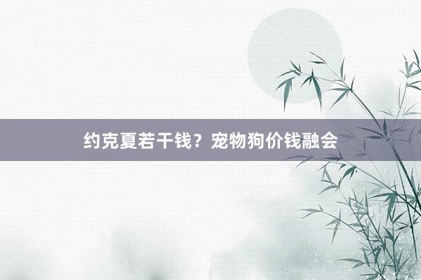约克夏若干钱？宠物狗价钱融会