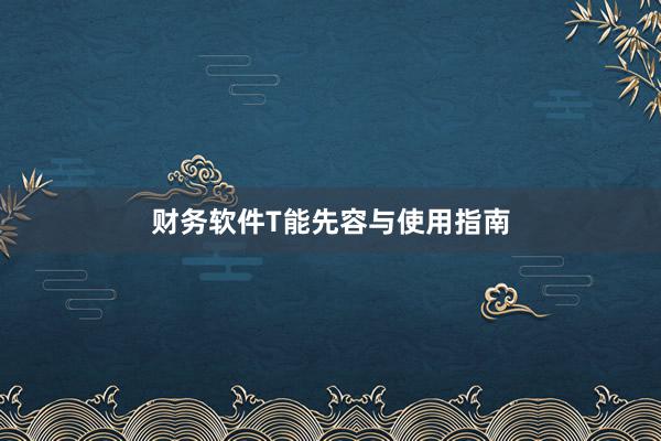 财务软件T能先容与使用指南
